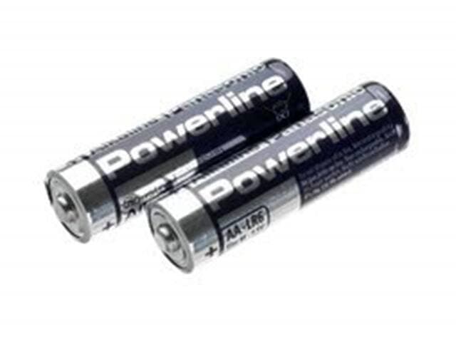 Alkaline battery