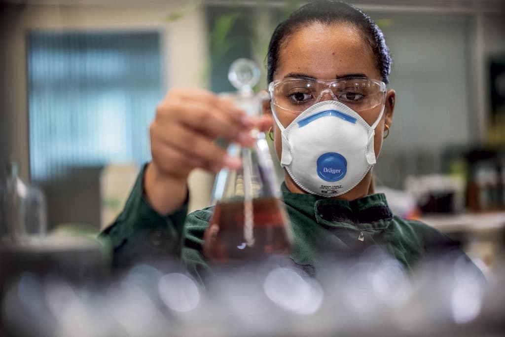 Dräger X-plore® 1300 FFP Dust Masks